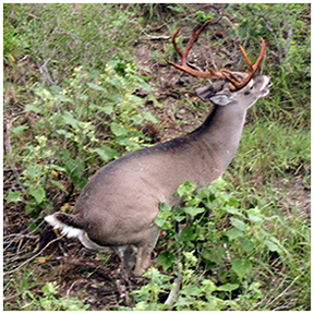 2021 Management photos